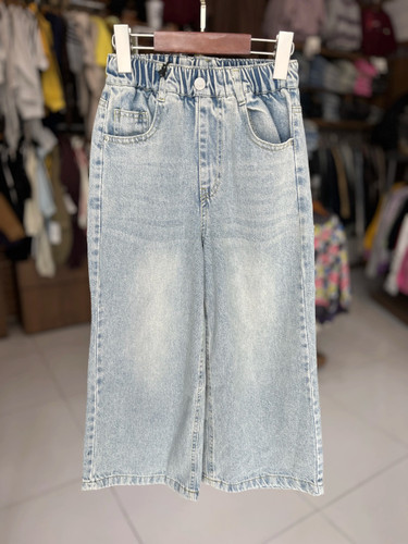 جین بگ زاپدار